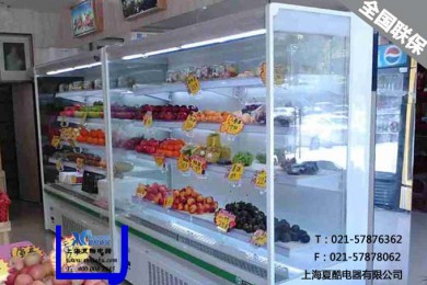 15MF水果保鲜柜