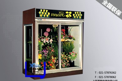 镂空玻璃直冷款