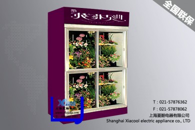 直冷鲜花柜
