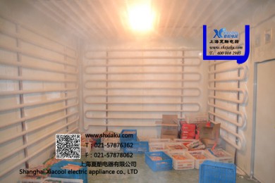 食品肉类 排管冷冻 冷库